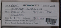 Image Associated With the Occurence